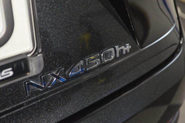 Lexus NX vas 011
